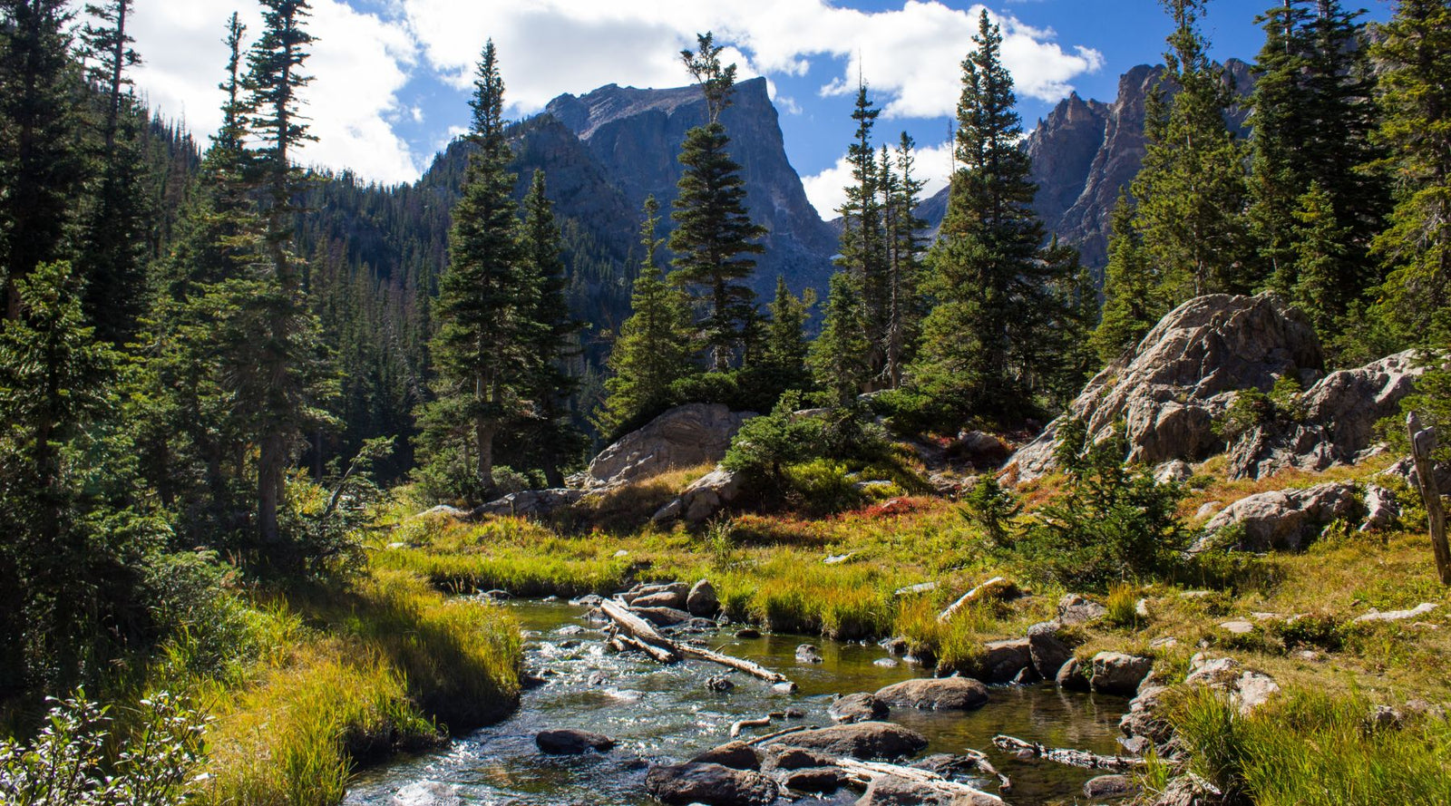 Wilderness photo for National Wilderness Month