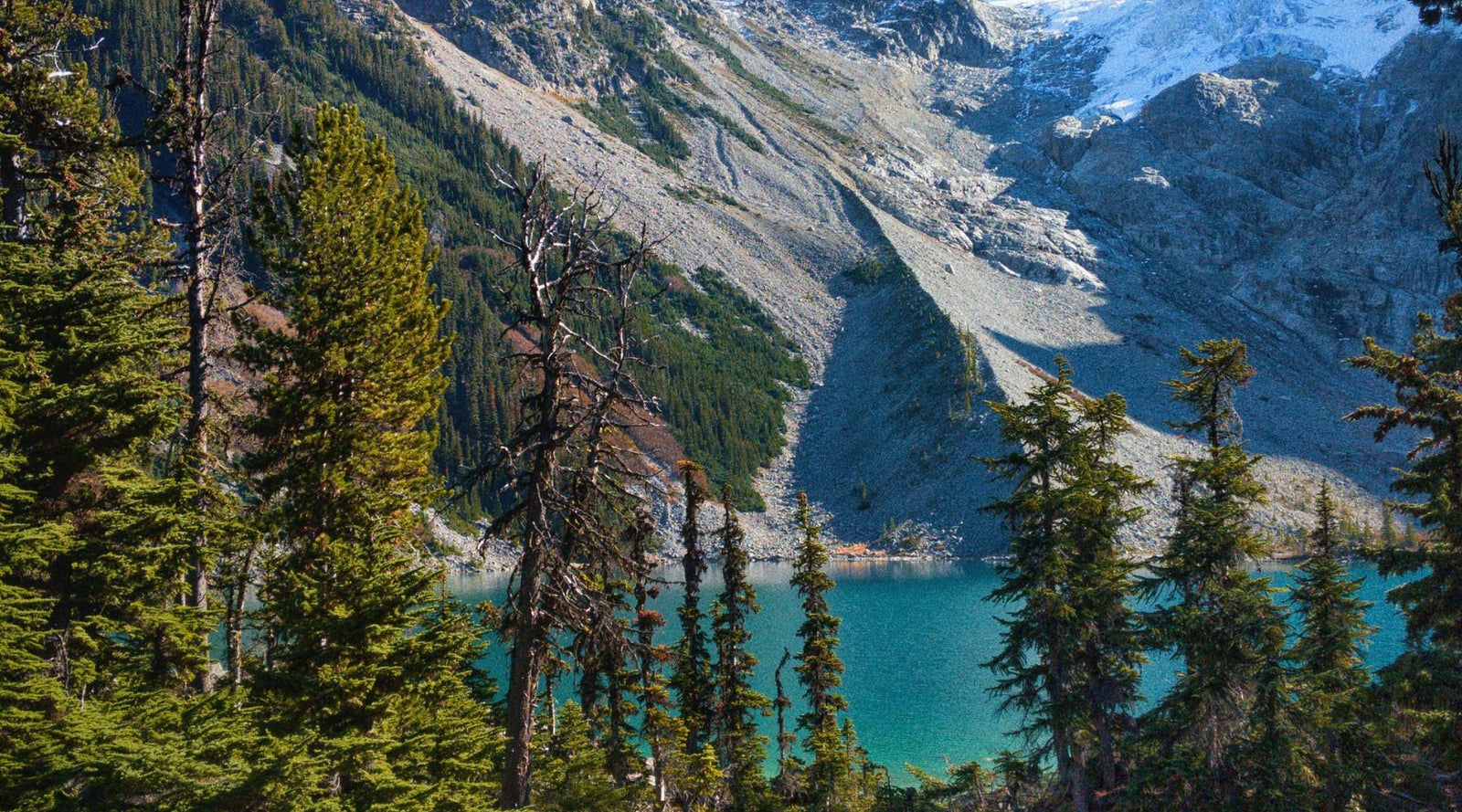 World Nature Conservation Day | BeCause Tees