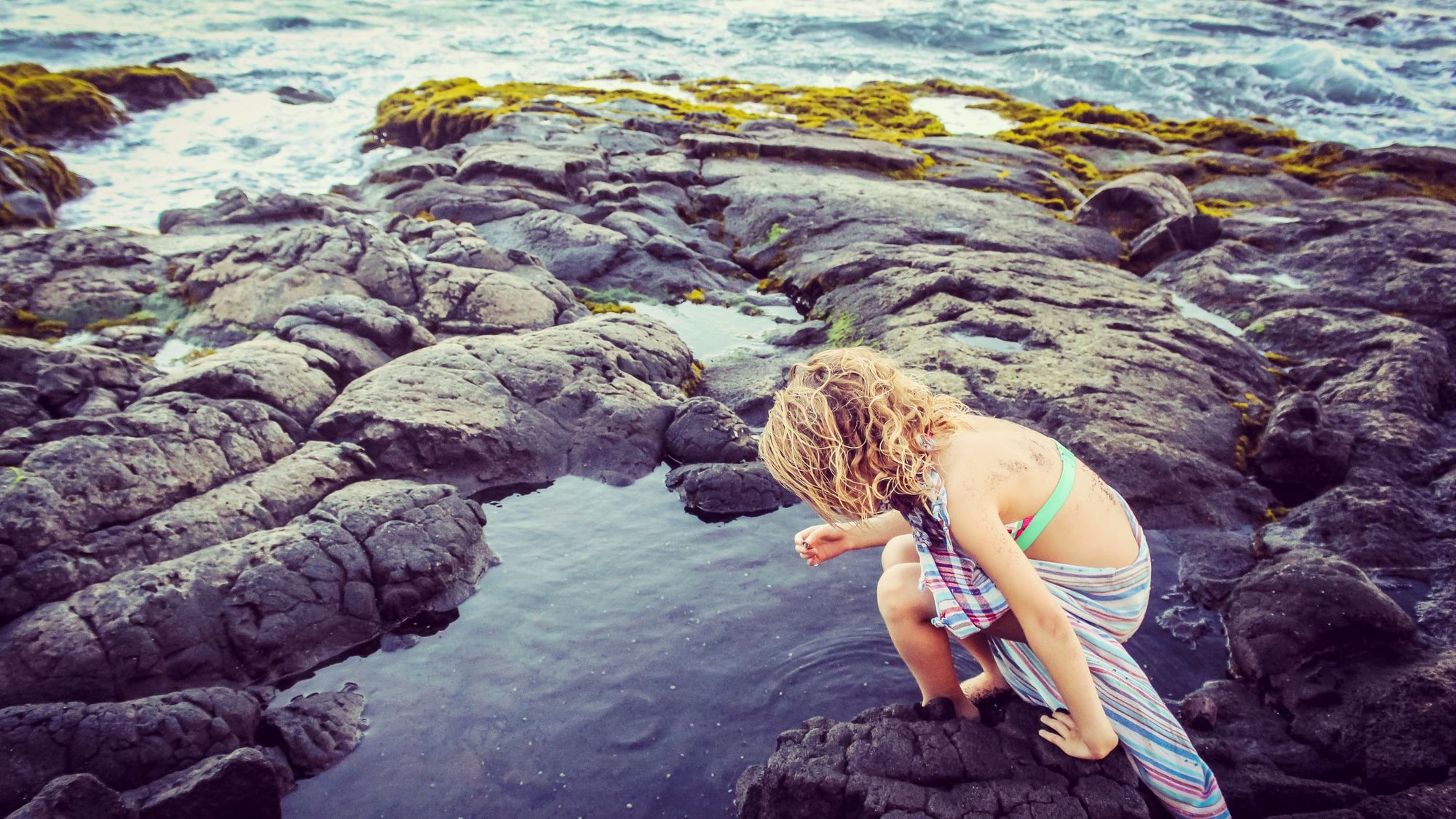 Discovering the Hidden Worlds of Tide Pools: A Humorous Dip into Nature's Miniature Oceans | BeCause Tees