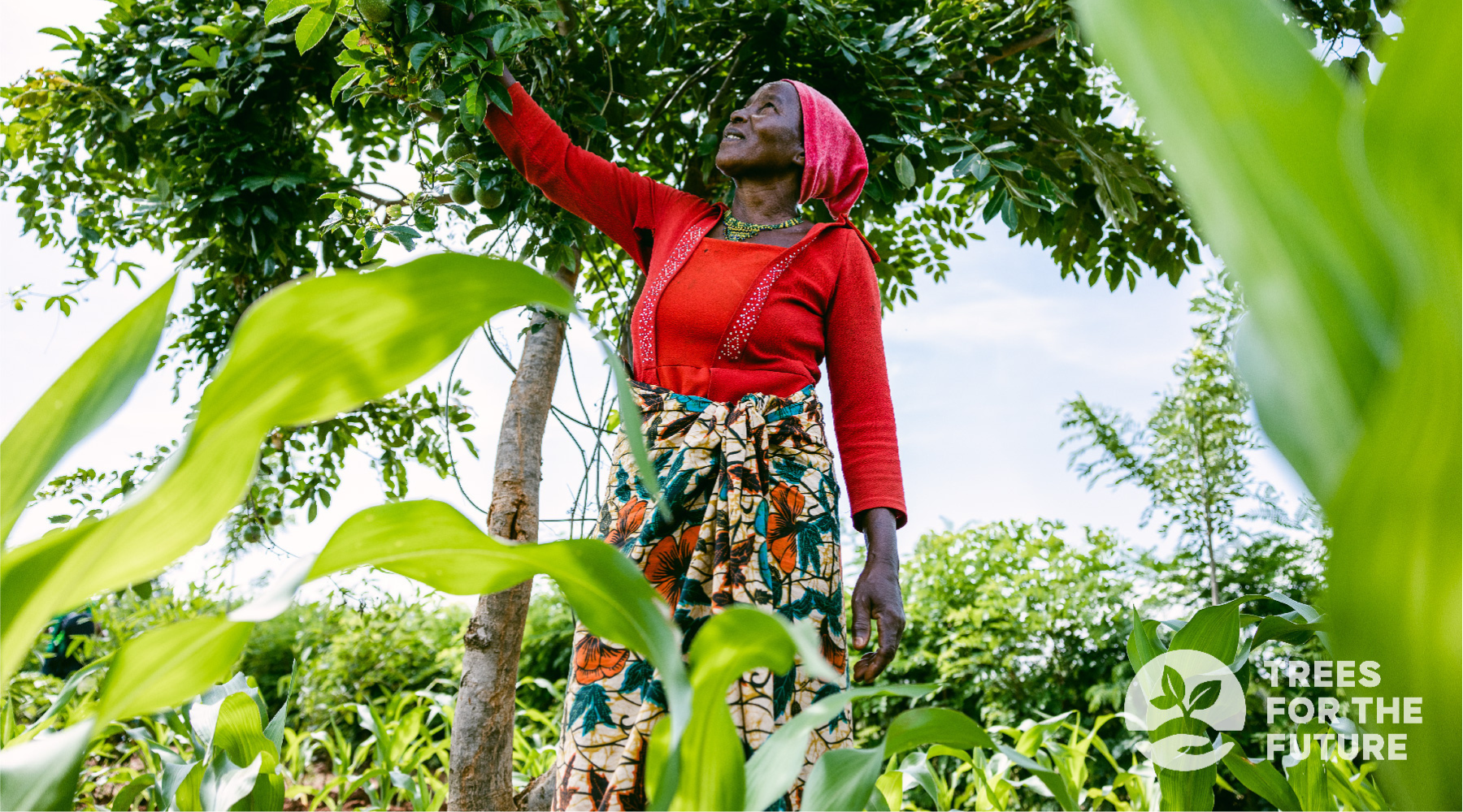 Trees for the Future: Farmer in Tanzania