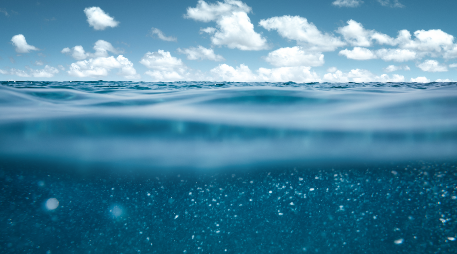 Why is the ocean salty? Photo of the ocean