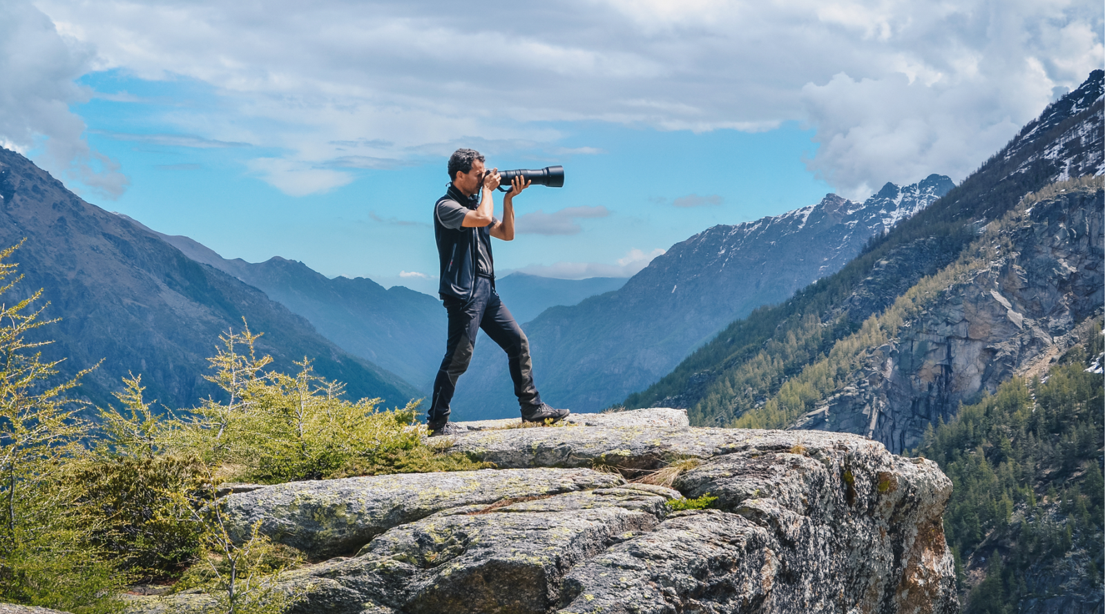 Wildlife photography