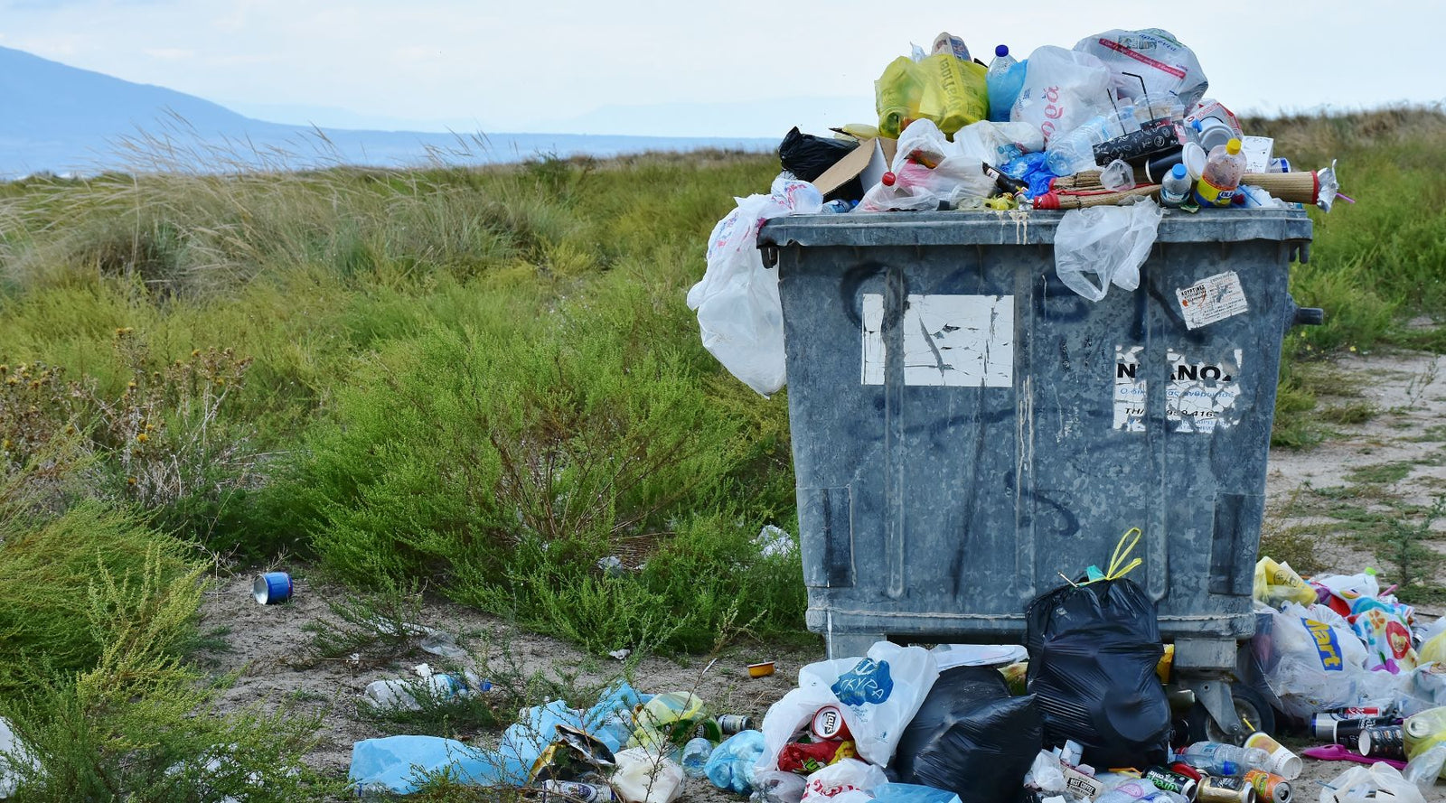 Trashcan of rubbish: World Cleanup Day