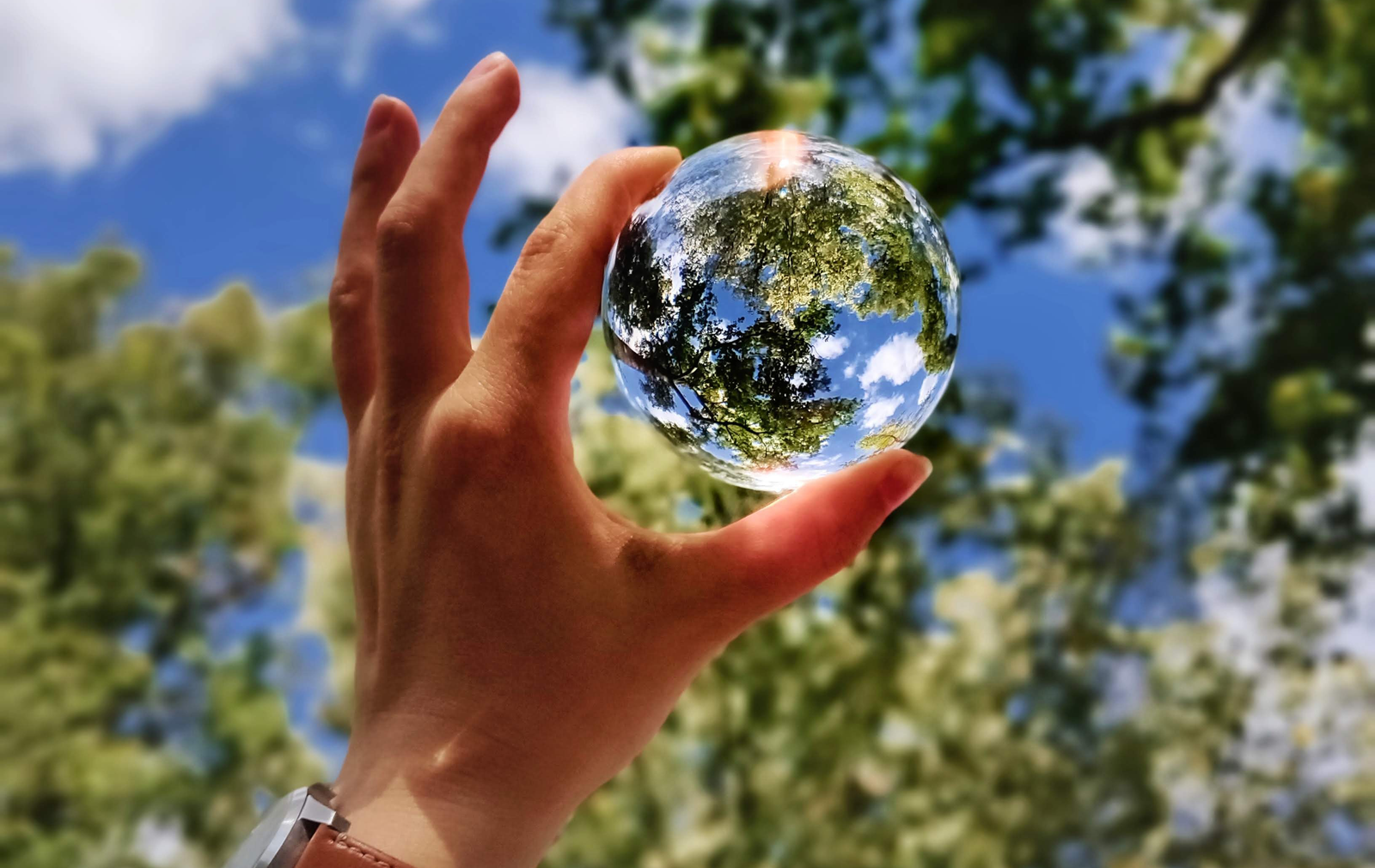 How To Stop Climate Change | Because Tees