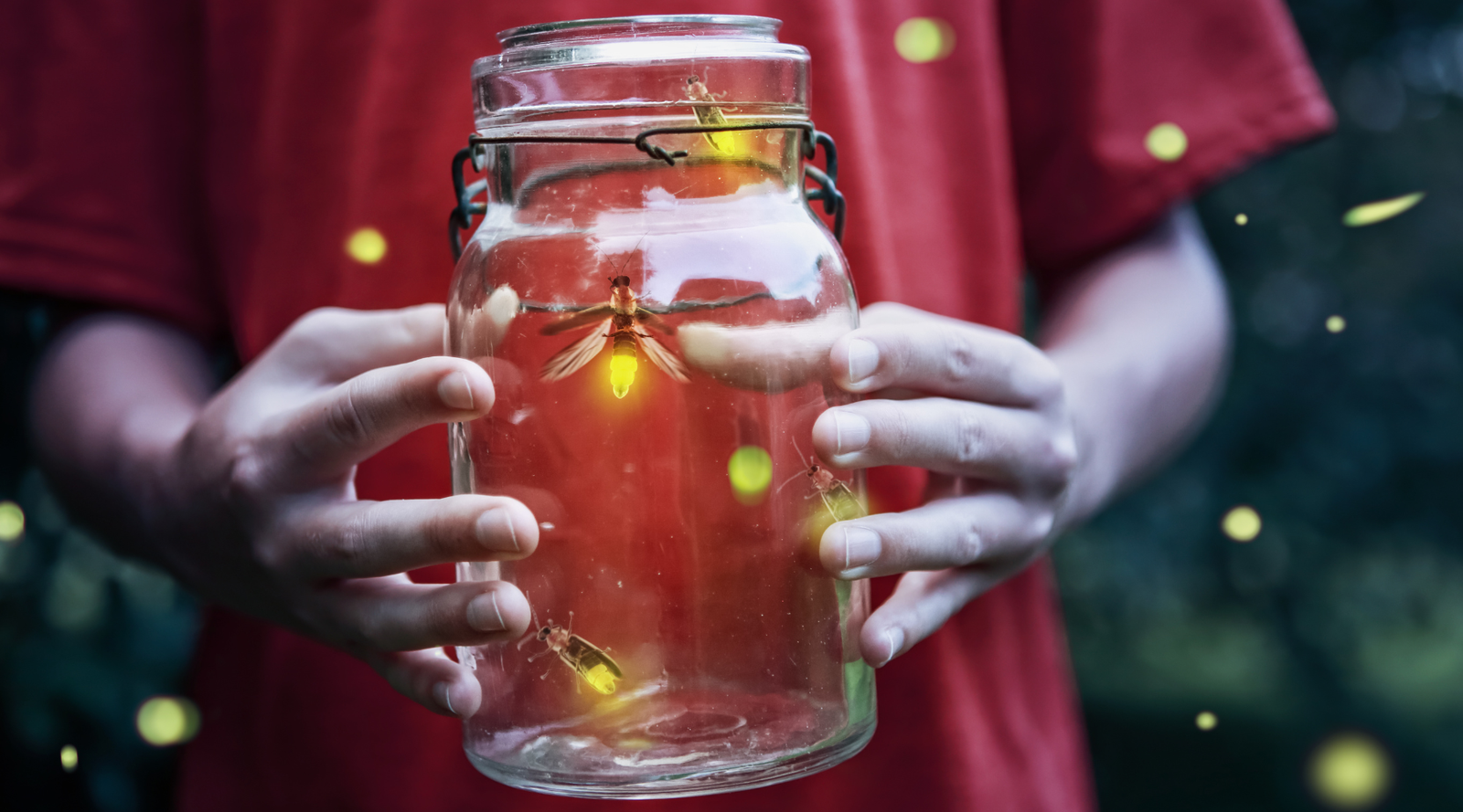 How to Help Fireflies: child holding a glass jar with glowing fireflies on a summer evening, highlighting simple ways to support firefly habitats and conservation