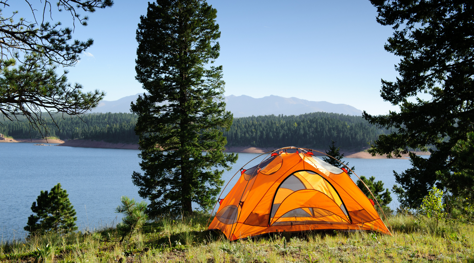 Bright orange tent by a lake surrounded by pine trees, illustrating how to naturally repel insects while camping in a scenic outdoor setting.