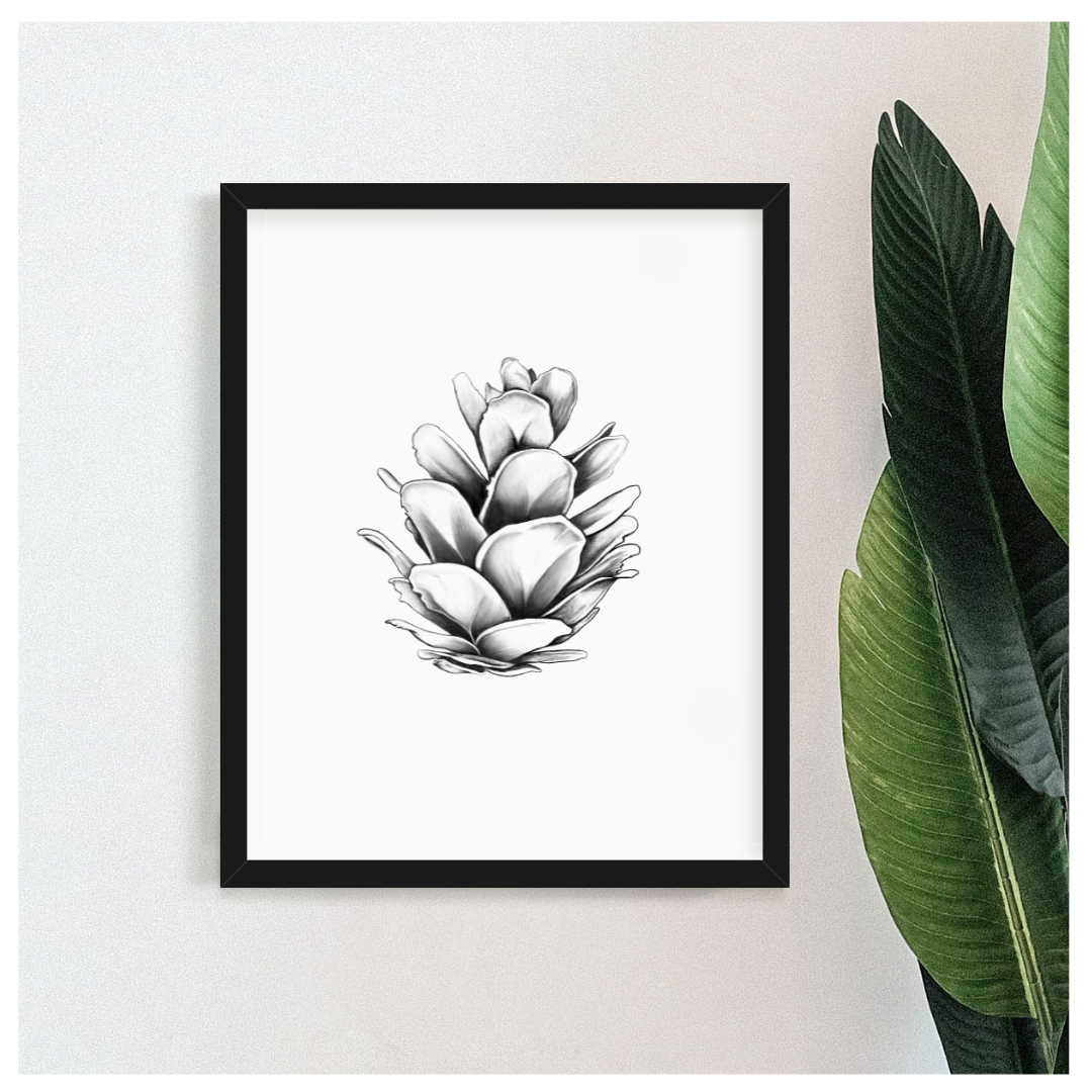 Art print with Western Hemlock Pine Cone drawing