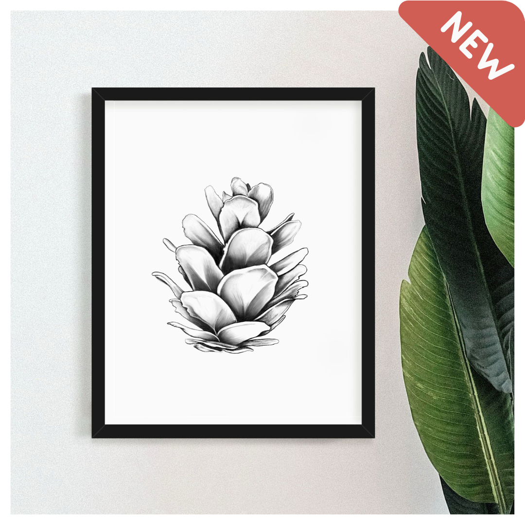 Art print with Western Hemlock Pine Cone drawing