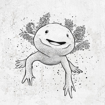 Axolotl drawing on axolotl shirts and apparel