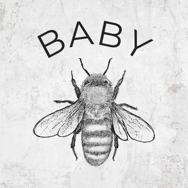 Baby Bee