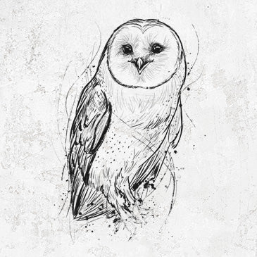 Barn Owl clothing and gifts hand-drawn illustration