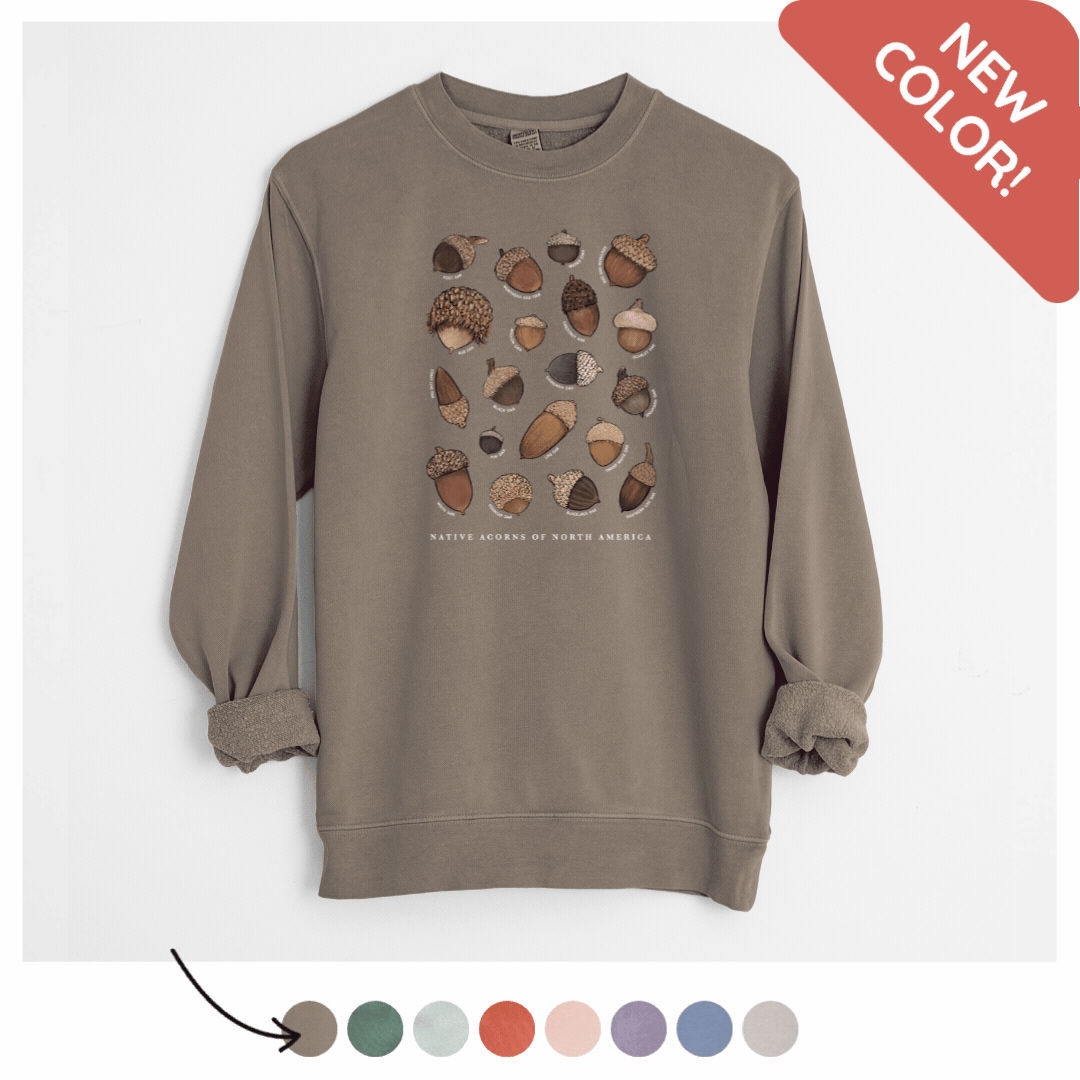 Espresso Brown Unisex Pigment Dyed Crewneck Sweatshirt with color swatches