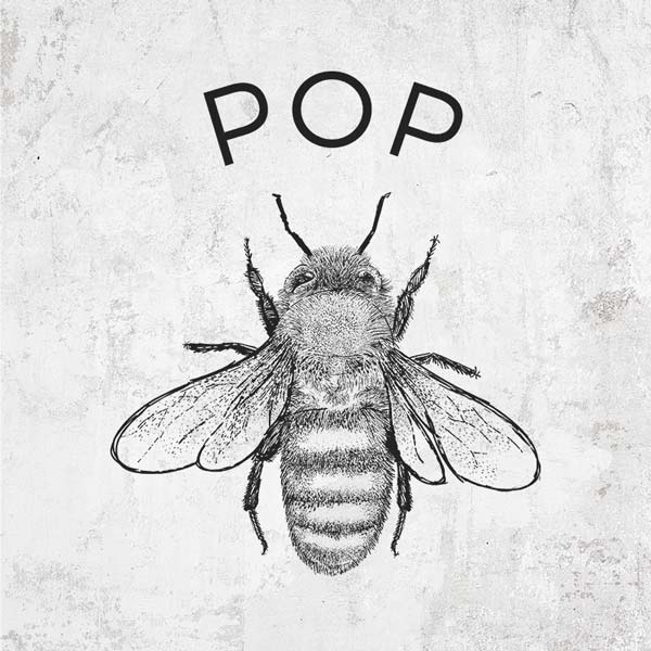 Pop Bee