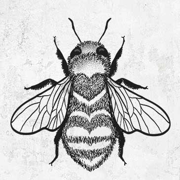 Bee Love