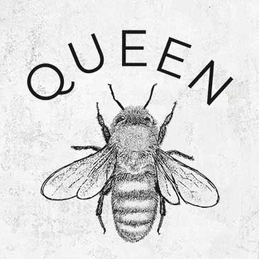 Queen Bee