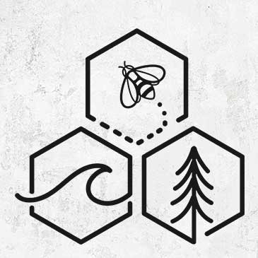 Bee Sea Tree Triptych