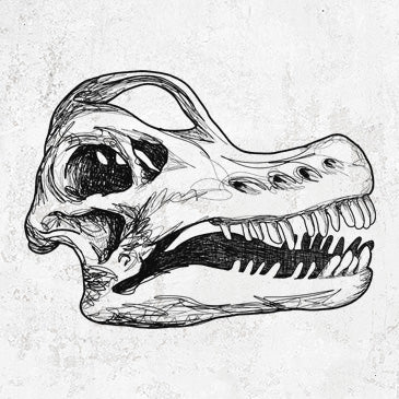 Brachiosaurus Skull on clothing and gifts