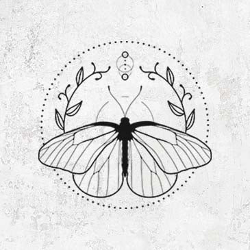 Illustration Black Veined White Butterfly