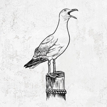 California Seagull Apparel and Accessories