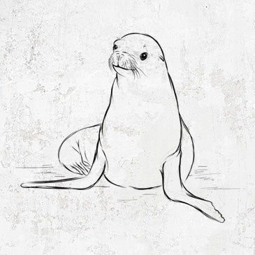 California sea lion drawing on apparel