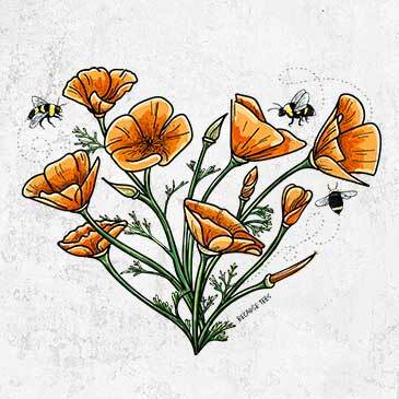 Colorful California Poppy Heart drawing on shirts, hoodies, and more