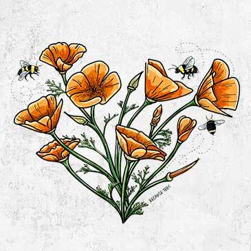 Colorful California Poppy Heart
