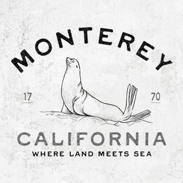 Monterey Sea Lion