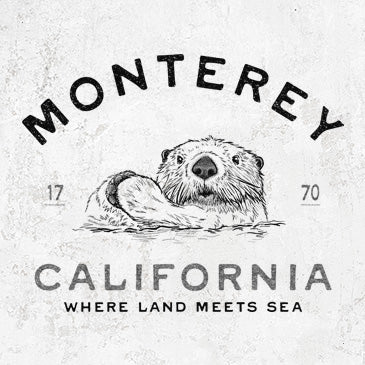 Monterey Sea Otter