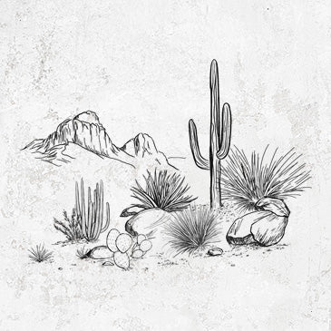 Desert Landscape