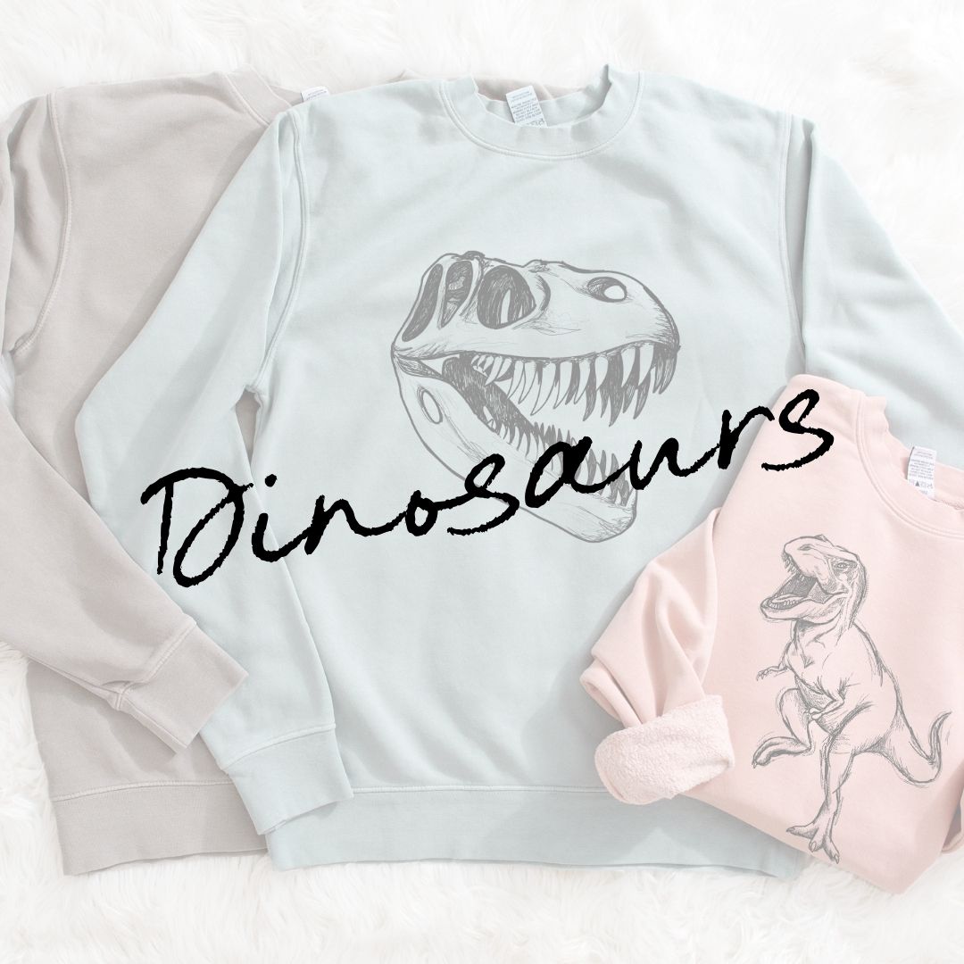 Dinosaur shirts