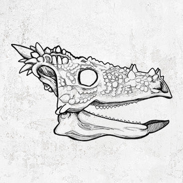 Dracorex Skull drawing on apparel and gifts