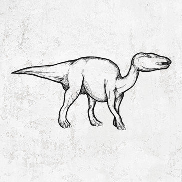 Edmontosaurus drawing on clothing and gifts