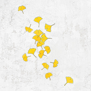 Falling Ginkgo Leaves