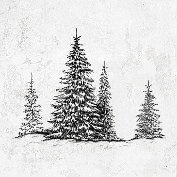 Frosted Evergreens