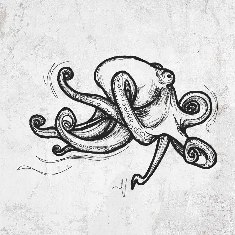 Giant Pacific Octopus