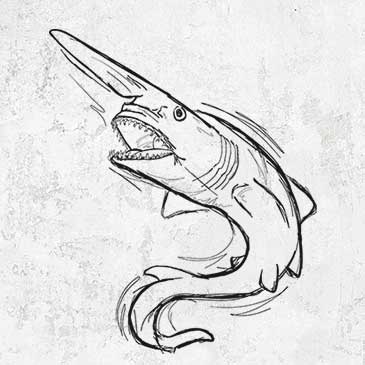 Goblin Shark