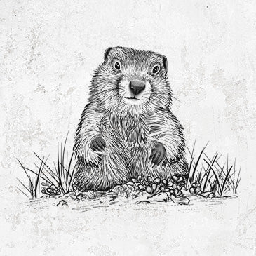 Groundhog (Woodchuck, Whistlepig) Inspired Collection - Whimsical Apparel and Accessories