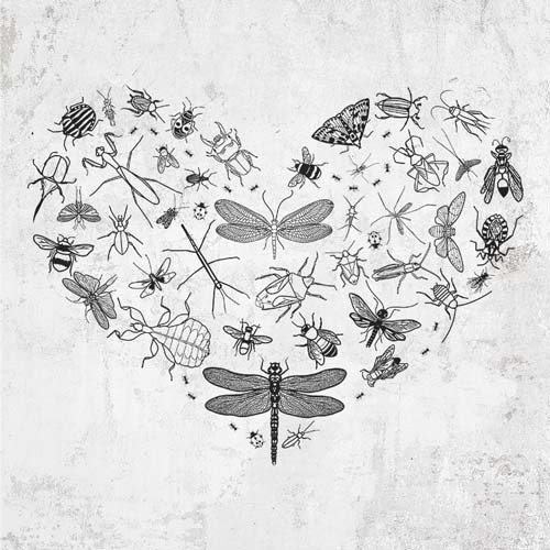 Heart Full of Insects