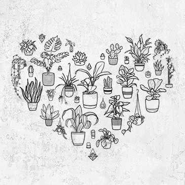 Heart Full of House Plants