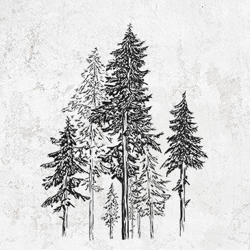 Hemlock Forest