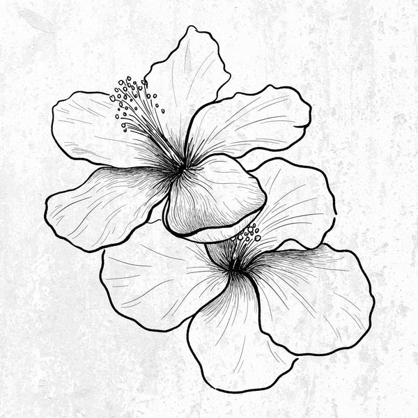 Hibiscus Flowers