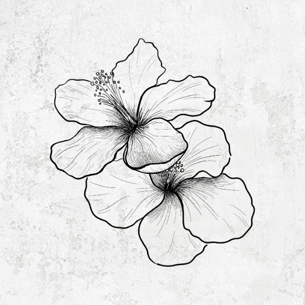 Hibiscus Flowers