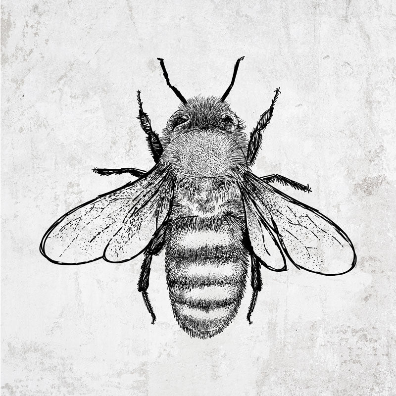 Bee design on pollinator clothing