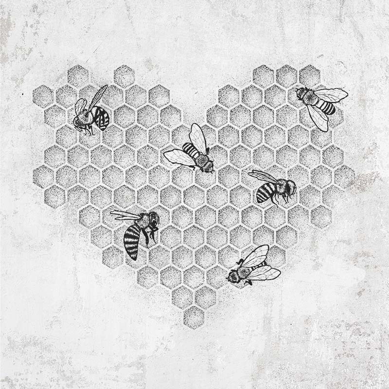Honeycomb Heart with Bees