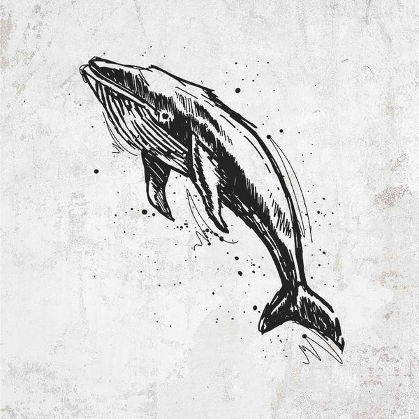 Humpback Whale