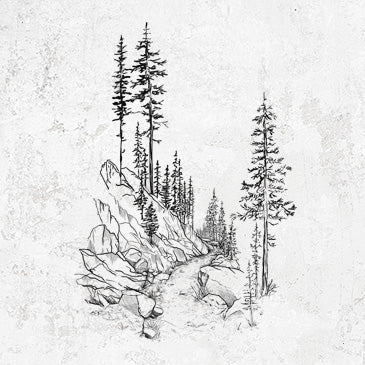 Into the Woods - Hiking