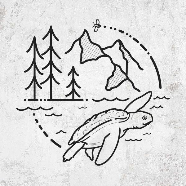 It's All Connected - Kemps Ridley Turtle