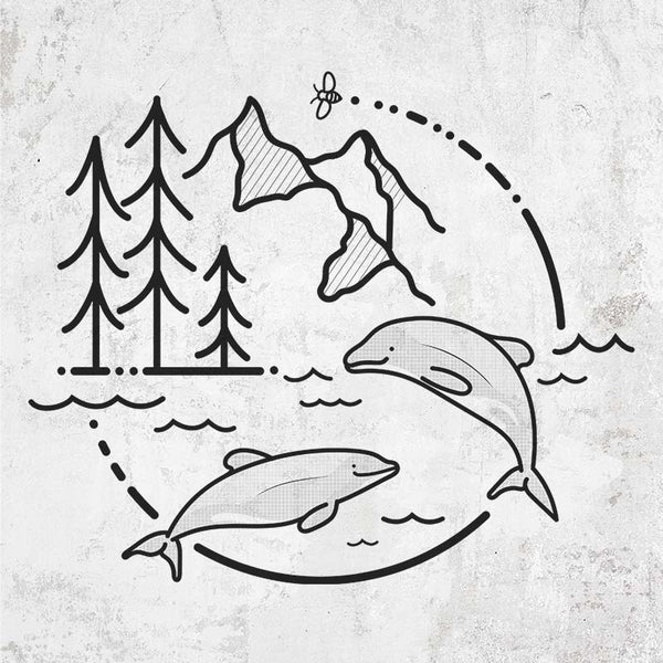 It's All Connected - Maui Dolphins