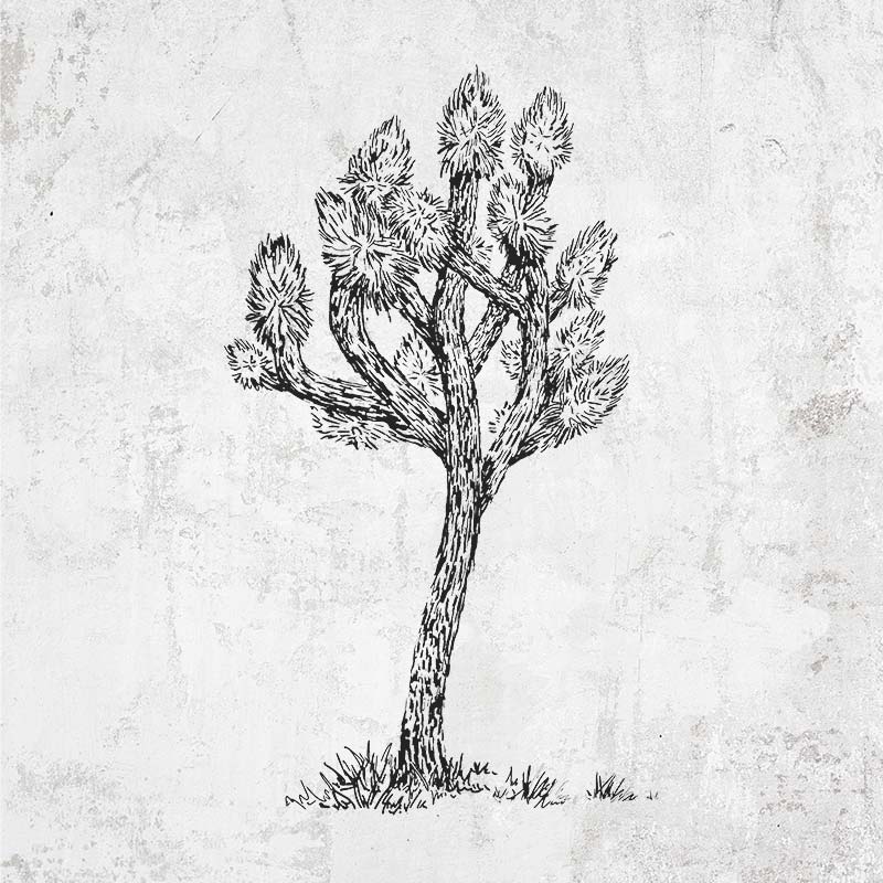 Joshua Tree clothing and gifts - hand-drawn illustration