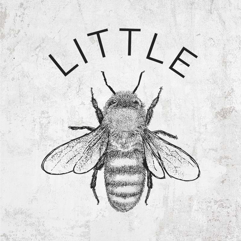 Little Bee